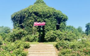 Gazebo at Elizabeth Rose Garden